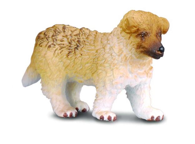 توله سگ راف کولی, image