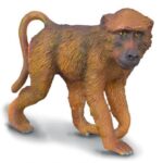 بابون نر, image