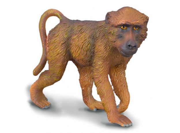 بابون نر, image