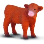 گوساله هایلند - ایستاده, image