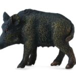 گراز ماده وحشی, image