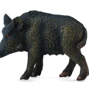 گراز ماده وحشی, image