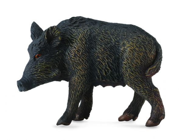 گراز ماده وحشی, image