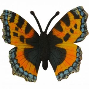 پروانه بال لاک‌پشتی کوچک, image