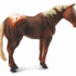 اسب نر آپالوسا کُرَنگ, image