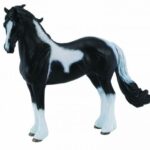 اسب نر باروک خال‌دار, image