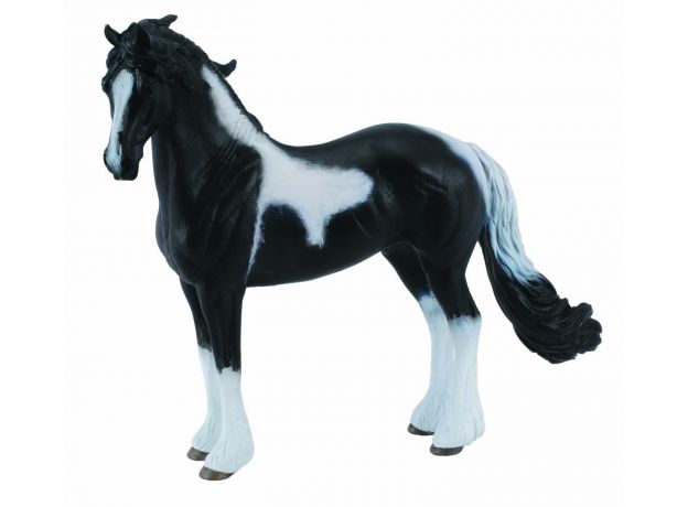 اسب نر باروک خال‌دار, image