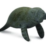 گوساله دریایی - در حال شنا, image