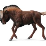 کَل یال‌دار مشکی, image