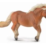 اسب پونی شتلند کُرَنگ, image