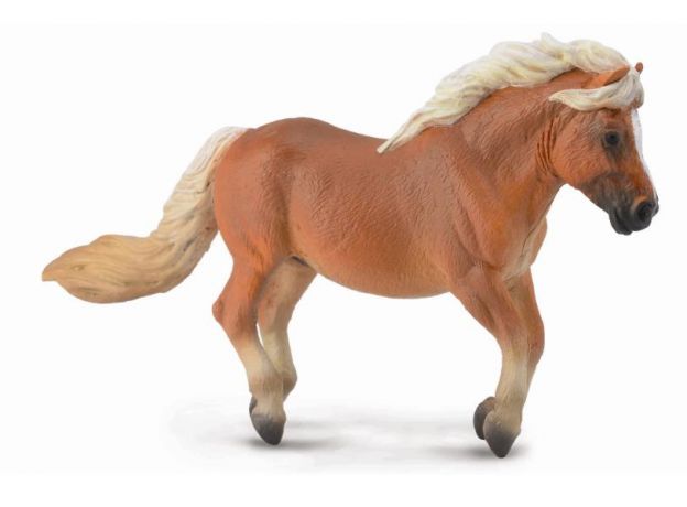 اسب پونی شتلند کُرَنگ, image