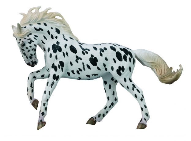 اسب ماده نبستروپر مشکی پلنگی, image