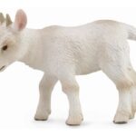 بزغاله - درحال راه رفتن, image