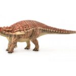 بوریالوپلتا, image