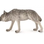 گرگ شرقی - در حال شکار, image