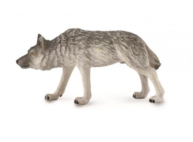 گرگ شرقی - در حال شکار, image