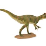 فوکوئی‌رپتور, image