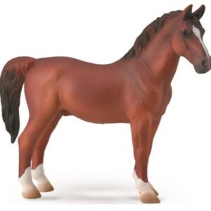 اسب نر هاکنی کُرَنگ