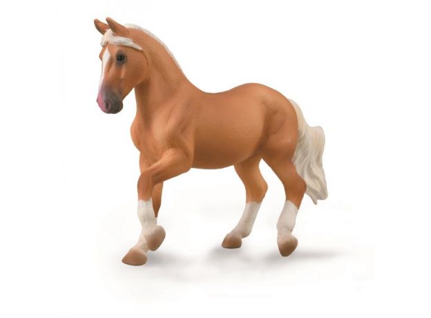 اسب ماده پاسو فینو, image