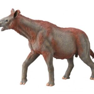 پاراسراتریوم, image