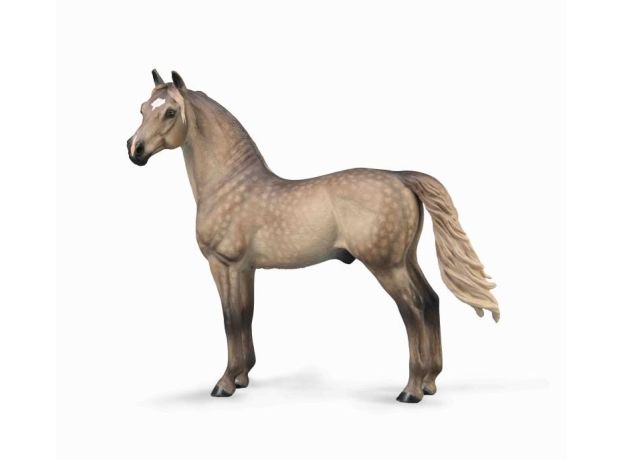 اسب نر مورگان خالدار نقره‌ ای, image