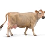 گاو جرسی, image