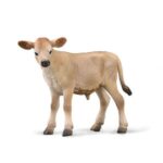 گوساله جرسی, image