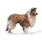 راف کولی, image