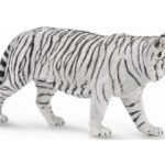 ببر سفید, image