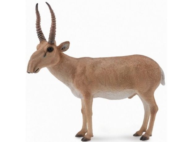 کَل سکایی, image