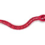 مار بوا قرمز کنترلی Terra, تنوع: AN2843Z-red, image 4