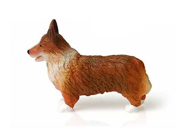 سگ ولش کورگی, image