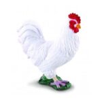 خروس سفید, image