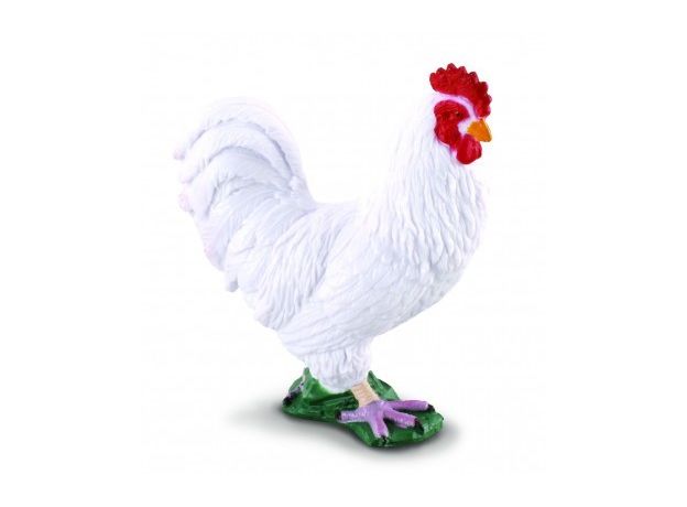 خروس سفید, image