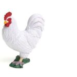 خروس سفید, image 3