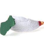 خروس سفید, image 5