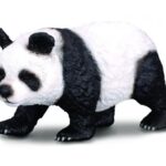 پاندا, image