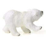 بچه خرس قطبی - ایستاده, image 2