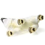 بچه خرس قطبی - ایستاده, image 5