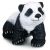 بچه پاندا - نشسته, image