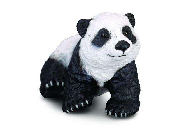 بچه پاندا - نشسته, image