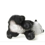 بچه پاندا - نشسته, image 5