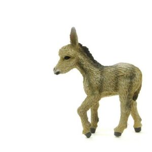کره الاغ – درحال راه رفتن