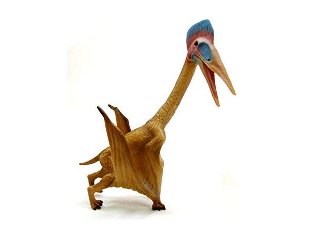 هاتزگ‌بال, image