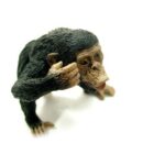 شامپانزه نر, image 2