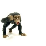 شامپانزه نر, image 4