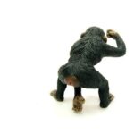 شامپانزه نر, image 5