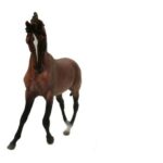 اسب ماديون موستانگ کهر رون, image 2