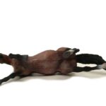 اسب ماديون موستانگ کهر رون, image 4