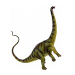 دیپلودوکوس یا دوتیرکی, image